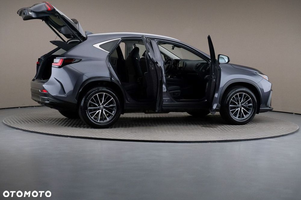 Lexus NX - 6