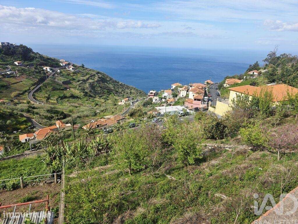 Terreno Agrícola em Câmara de Lobos - Grande imagem: 5/7
