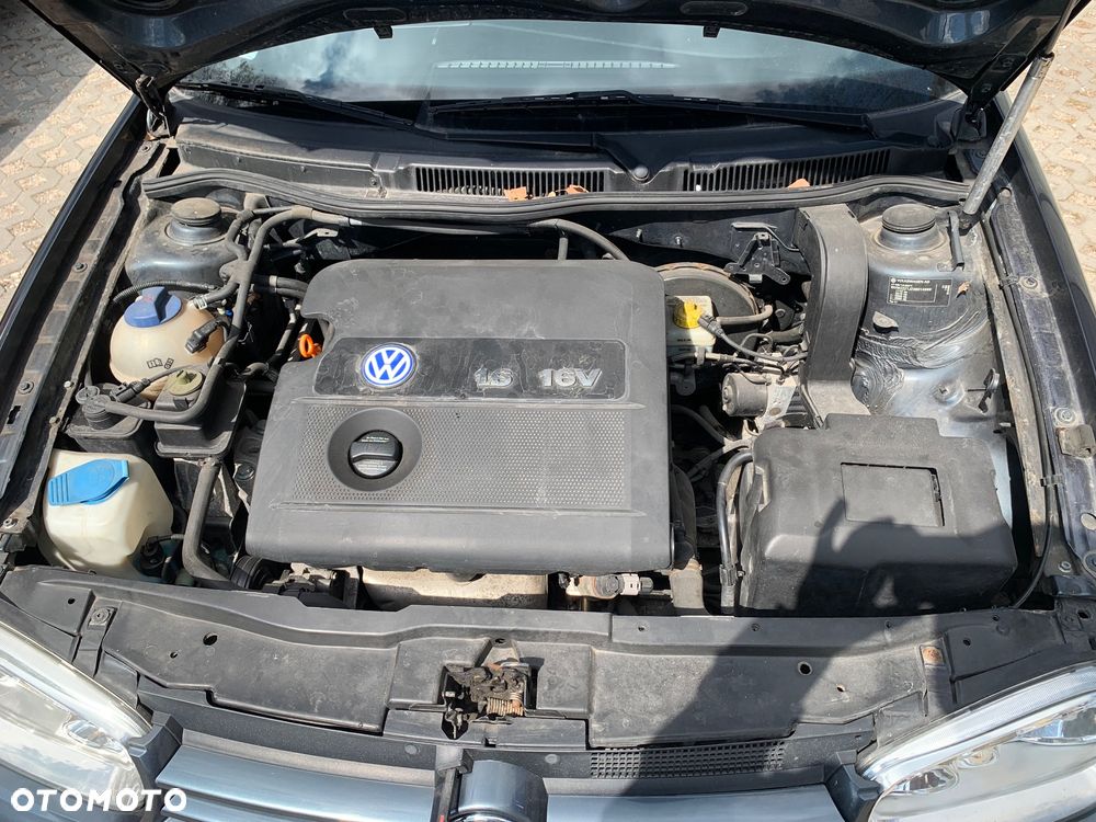 Volkswagen Golf - 10