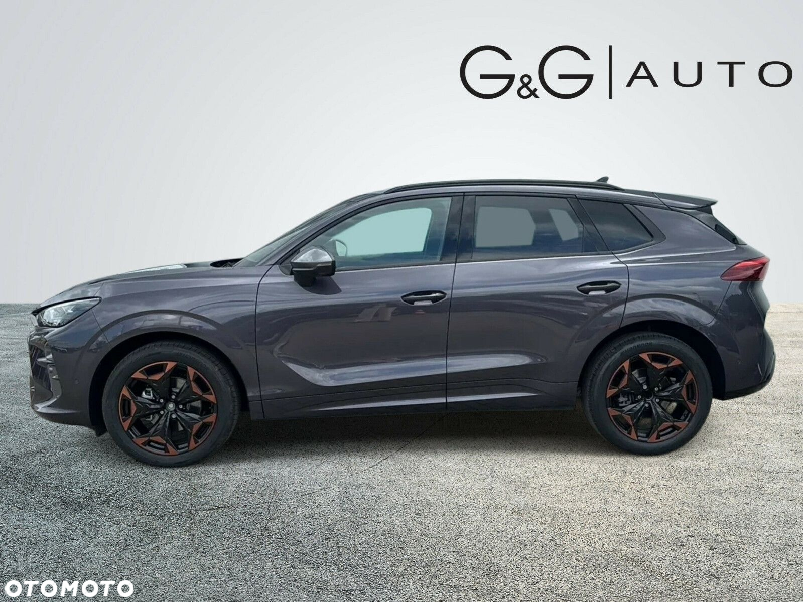 Cupra Terramar - 3