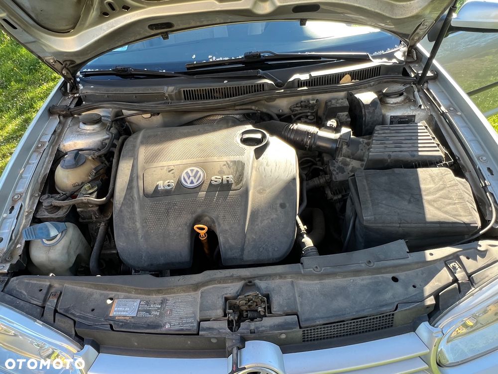 Volkswagen Golf - 19
