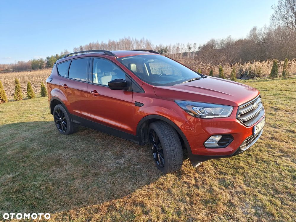 Ford Escape - 6