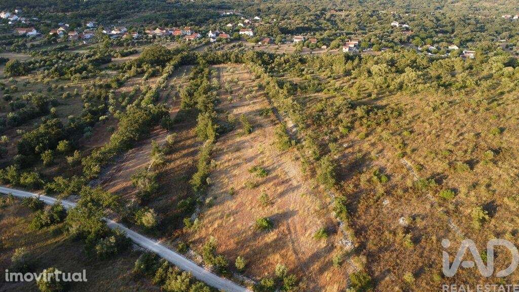Terreno em Chãos de 8160,00 m2 - Grande imagem: 2/30