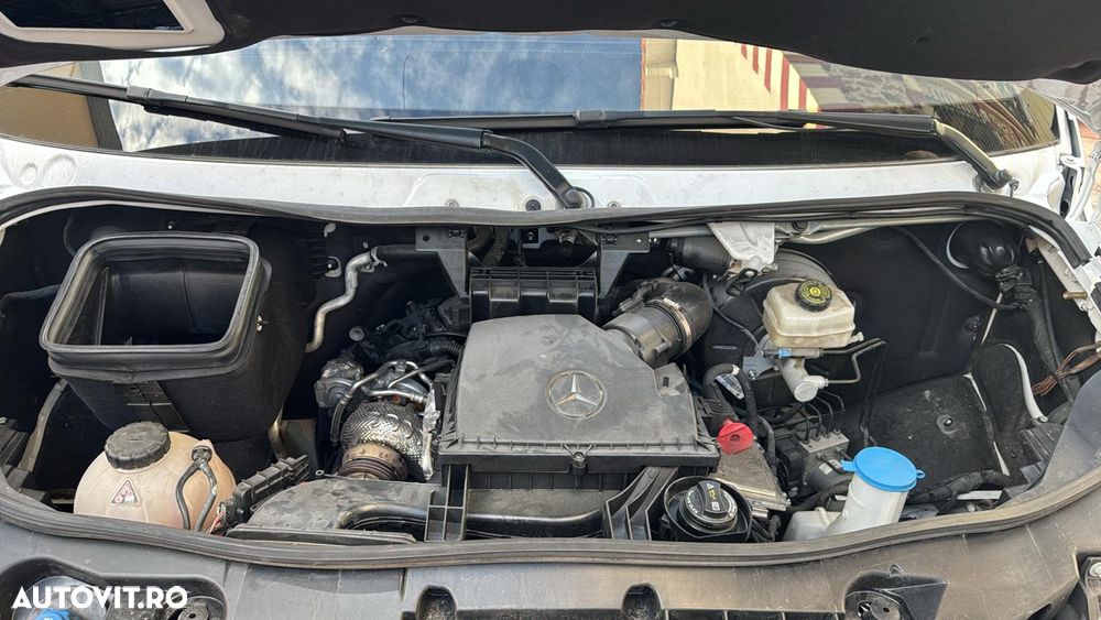 Mercedes-Benz Sprinter 317 CDI 170CP L2H2 RWD 9AT+ - 11