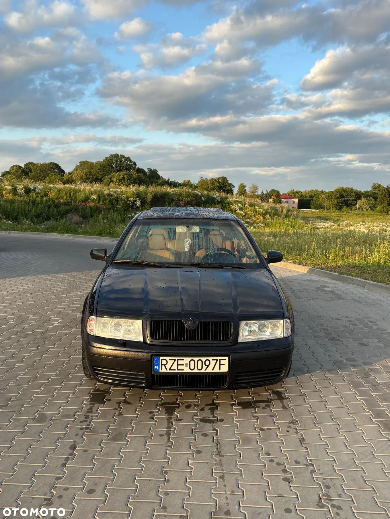 Skoda Octavia 1.9 TDI L&K - 1
