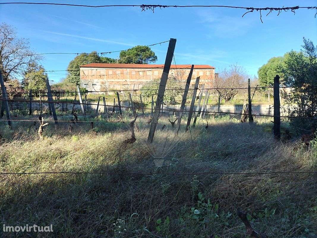 Armazém  para venda - Grande imagem: 3/35