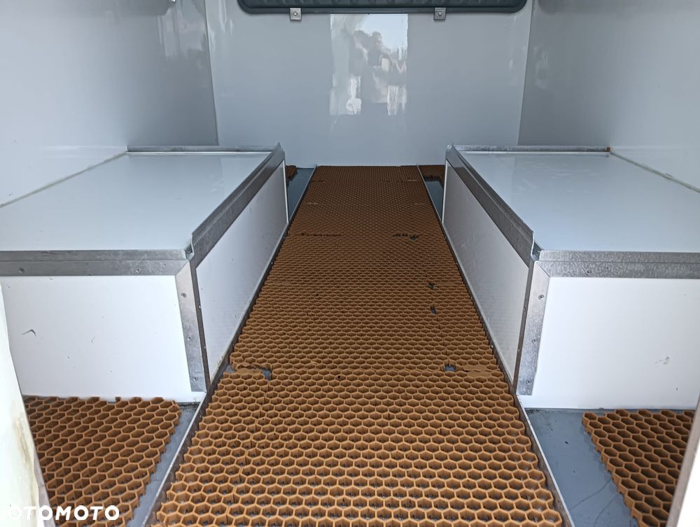 Iveco DAILY 35S12 KONTENER CHŁODNIA MROŹNIA NR 935 - 9