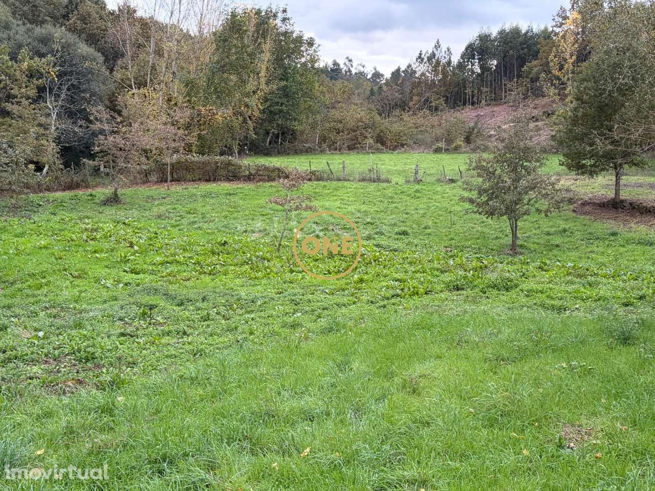 Terreno rústico com viabilidade de construção - Grande imagem: 4/8