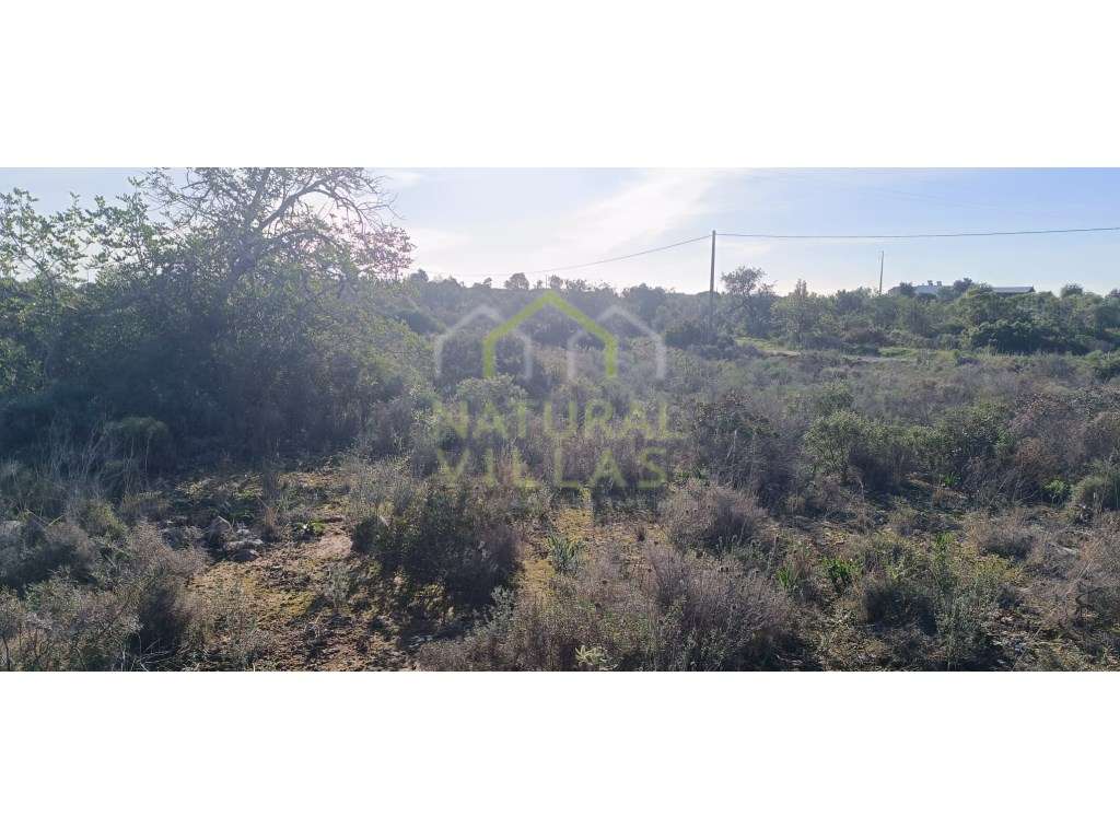 Terreno Rústico Plano em Quelfes, Olhão - Grande imagem: 2/3