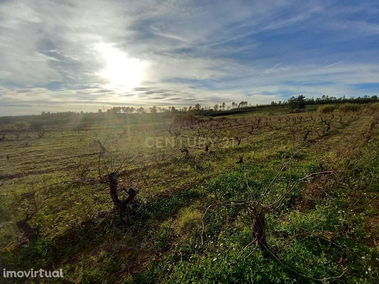 Quinta na localidade do Ninho do Açor - Grande imagem: 3/23