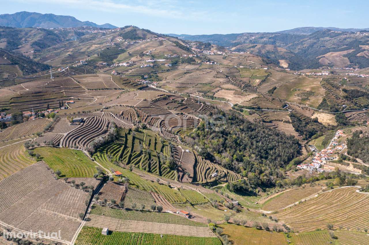 Terreno com 9 121 m2 situado em S. Marta de Penaguião - Grande imagem: 5/15