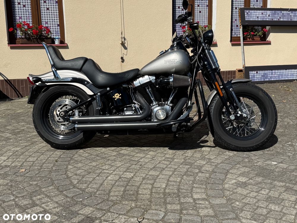 Harley-Davidson Softail Cross Bones - 1