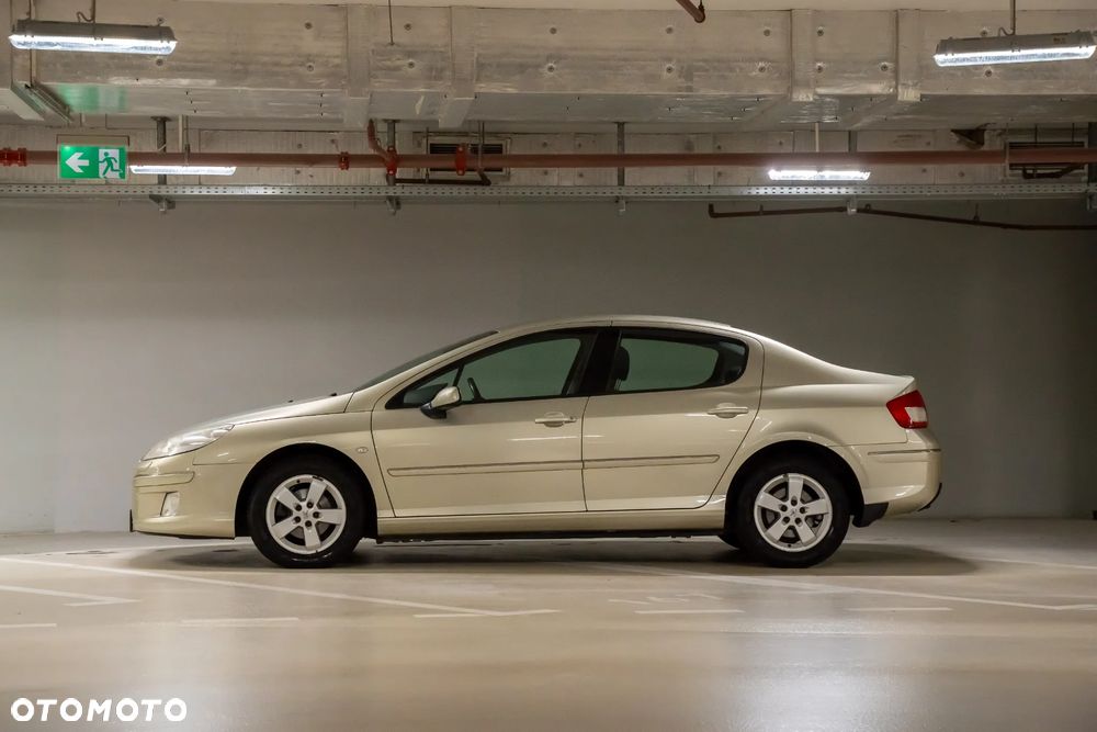 Peugeot 407 - 13