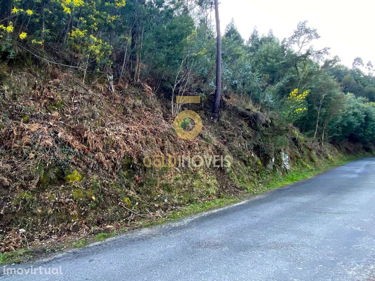 Terreno Rústico - Grande imagem: 3/8