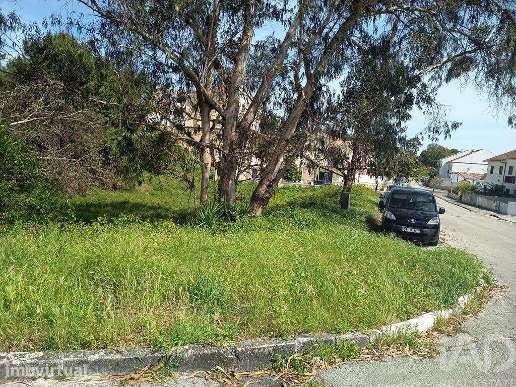 Terreno para construção em Rio Maior - Grande imagem: 2/23