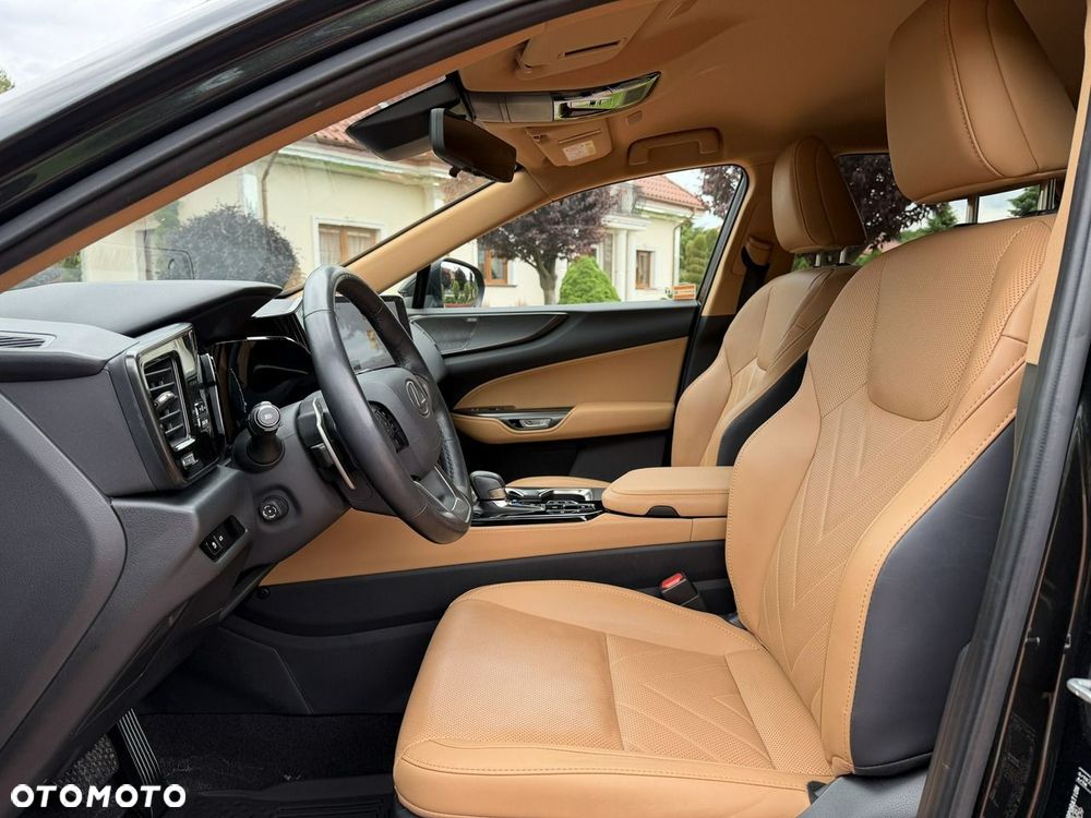 Lexus NX - 20