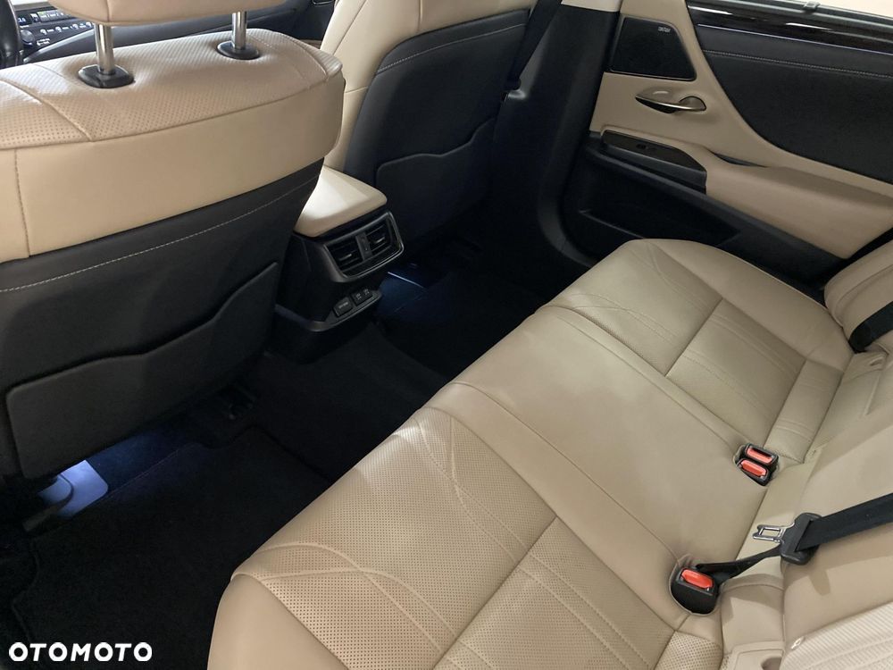Lexus ES 300h Omotenashi - 12