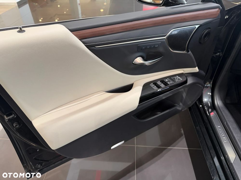 Lexus ES 300h Omotenashi - 14