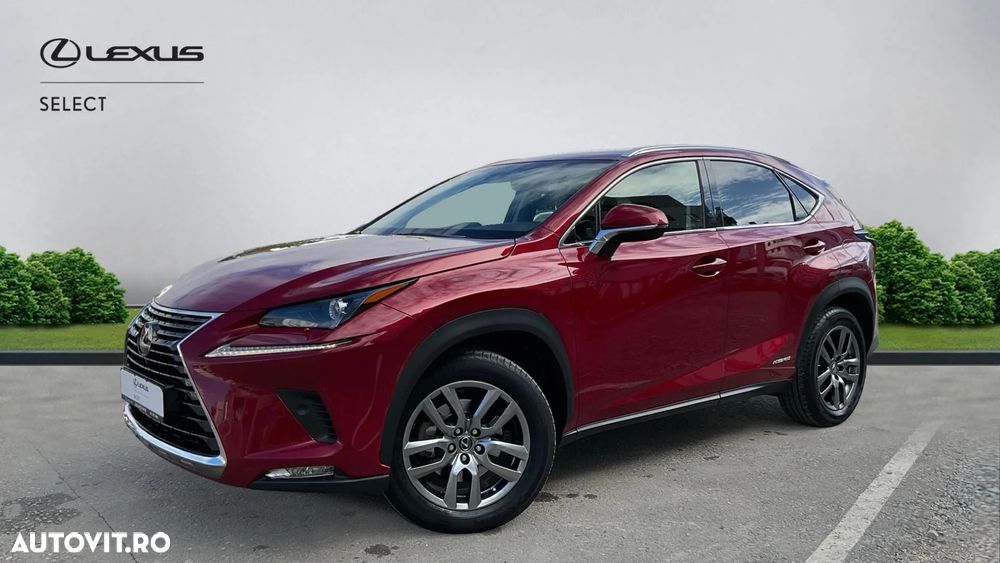 Lexus Seria NX 300h AWD Executive Plus - 1