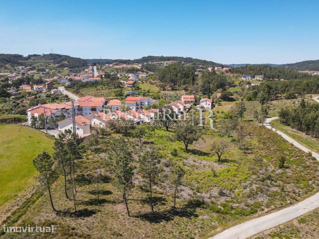Terreno Apto para a construção de Moradias - 1 hectare - Grande imagem: 2/9