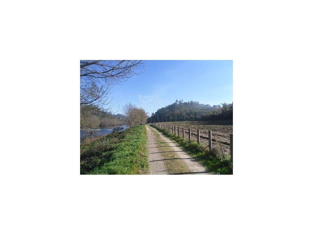 Quinta com 2 hectares em Bravães - Grande imagem: 4/6