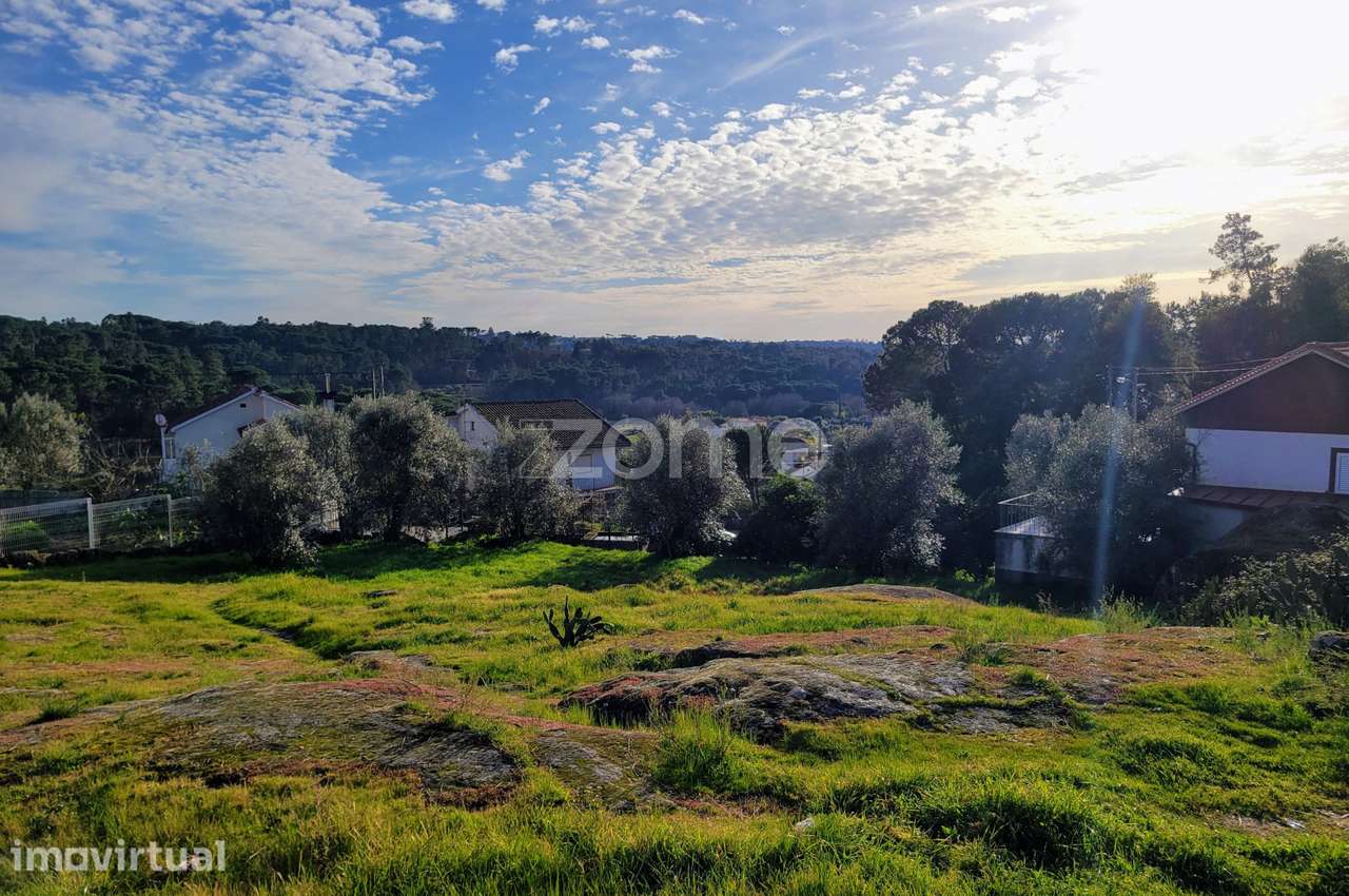 Terreno Urbano em Passos de Silgueiros - Grande imagem: 5/30