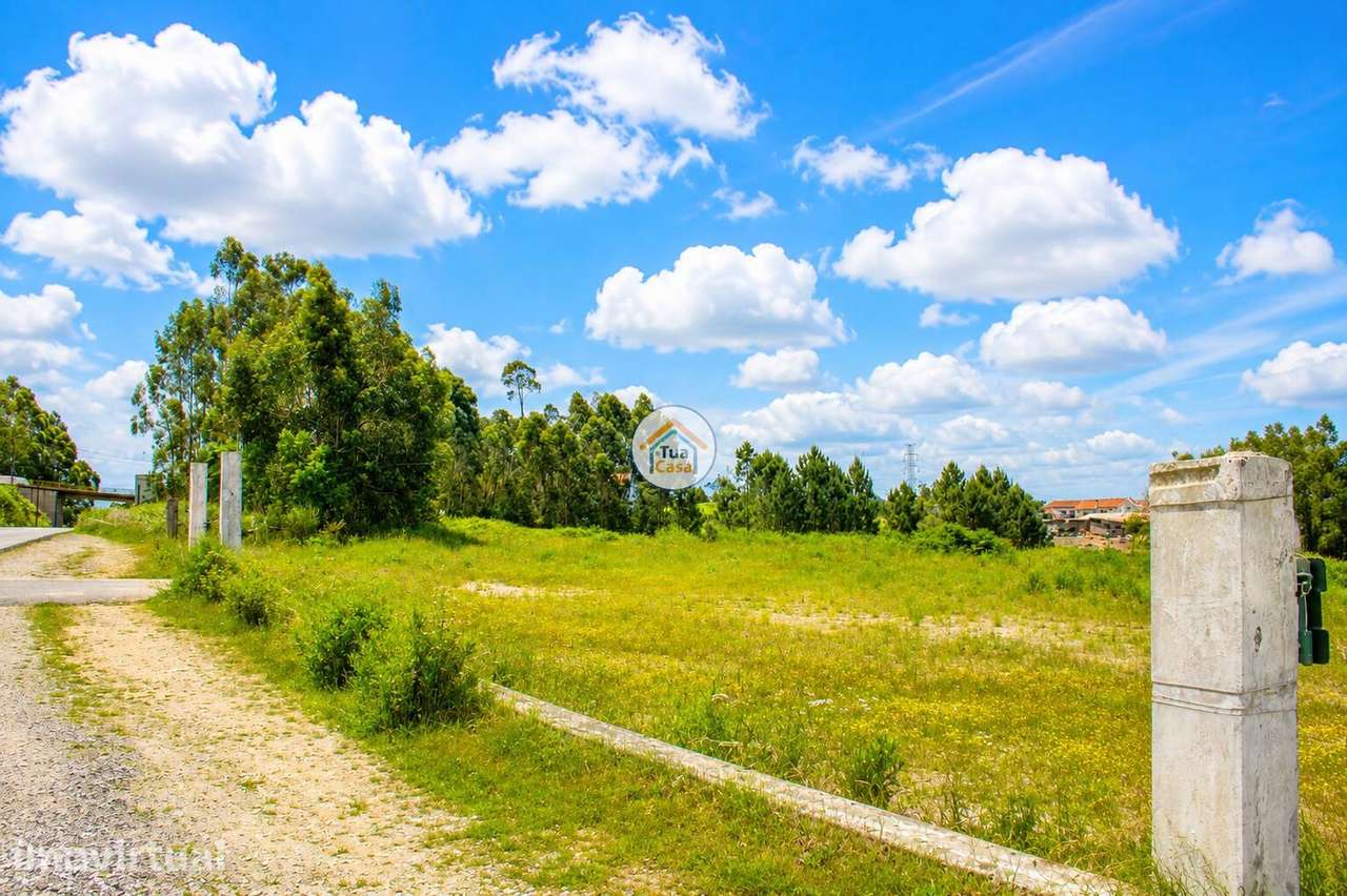 Terreno com cerca de 6.000 m2 à face da EN222, em Olival – Vila Nova d - Grande imagem: 2/10