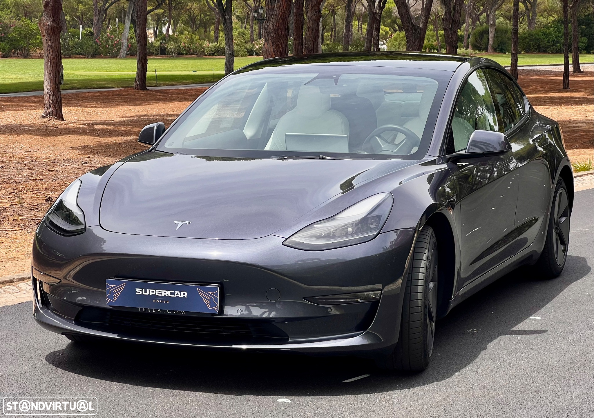 Tesla Model 3 Long Range Tração Integral - 20