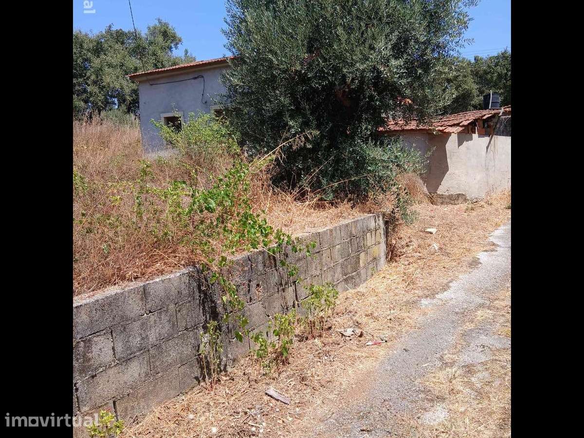 Terreno ruína junto ao Agroal - Grande imagem: 3/6