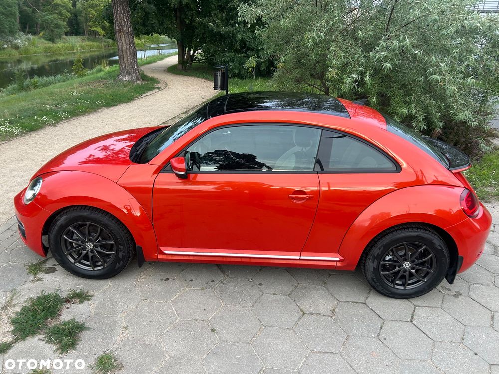 Volkswagen Beetle - 30