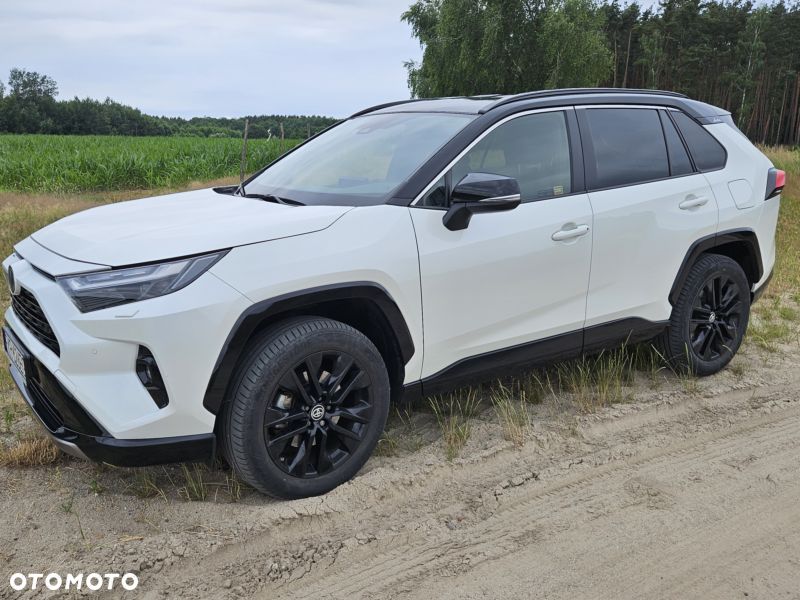 Toyota RAV4 2.5 Hybrid Selection 4x2 - 3