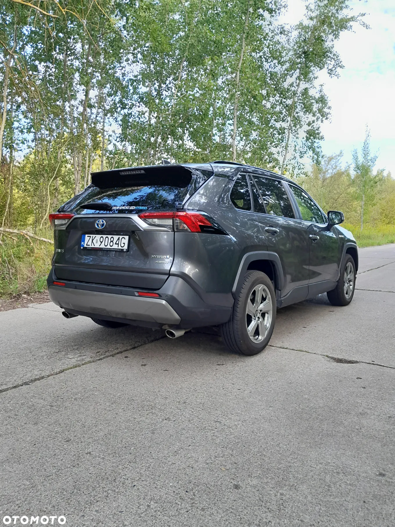 Toyota RAV4 2.5 Hybrid Executive 4x4 - 11