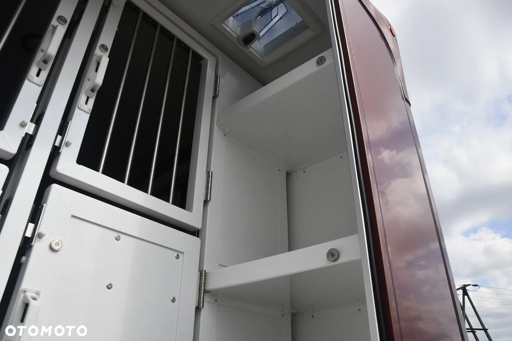Renault Master Koniowóz - 29