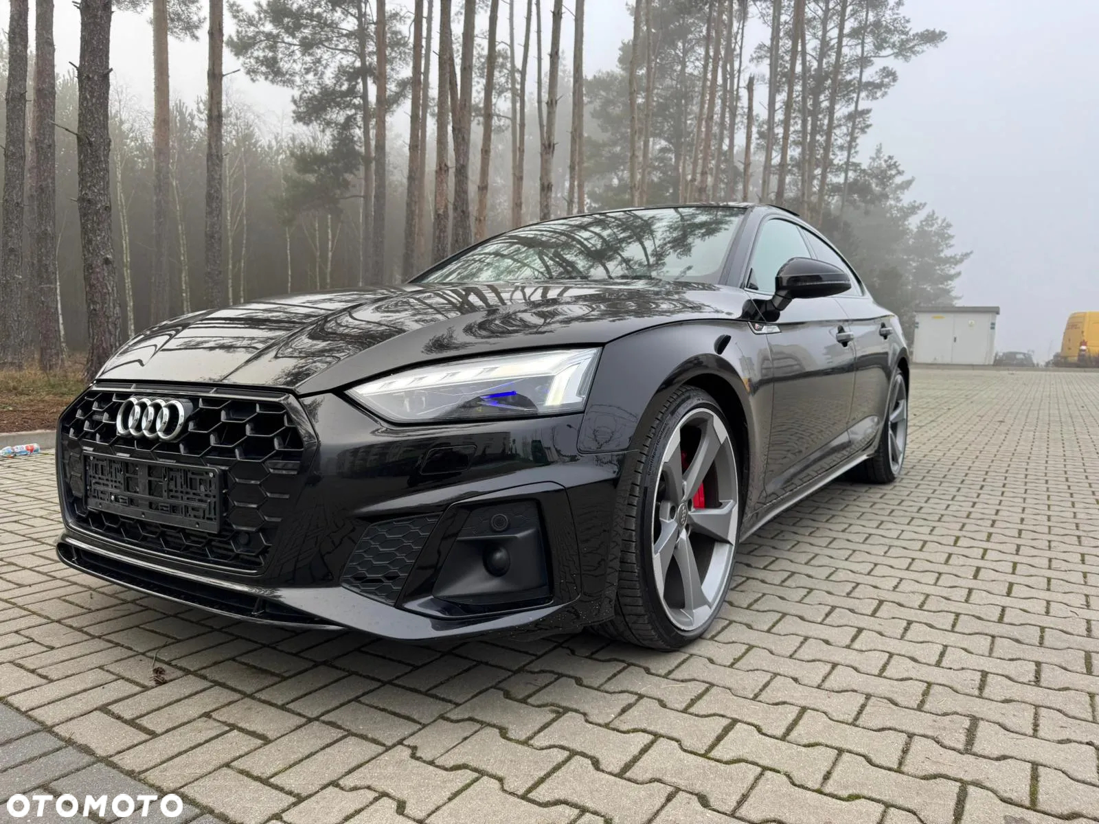 Audi A5 Sportback 3.0 TDI quattro S tronic sport - 2