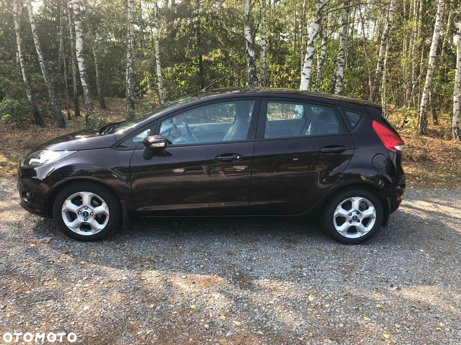 Ford Fiesta 1.25 Gold X EU5 - 6