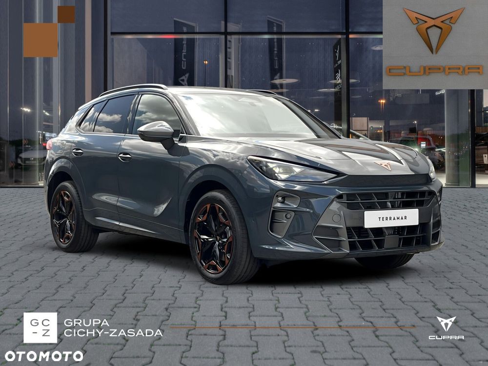Cupra Terramar 2.0 TSI 4Drive DSG - 6