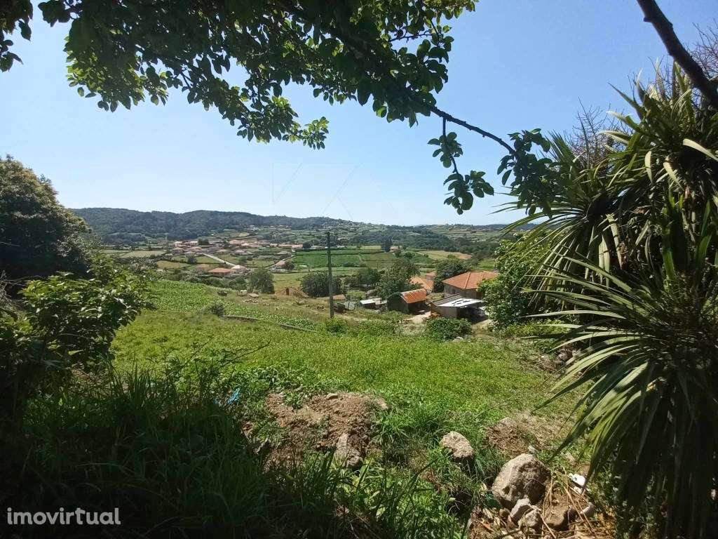 Moradia do Campo - Grande imagem: 5/18