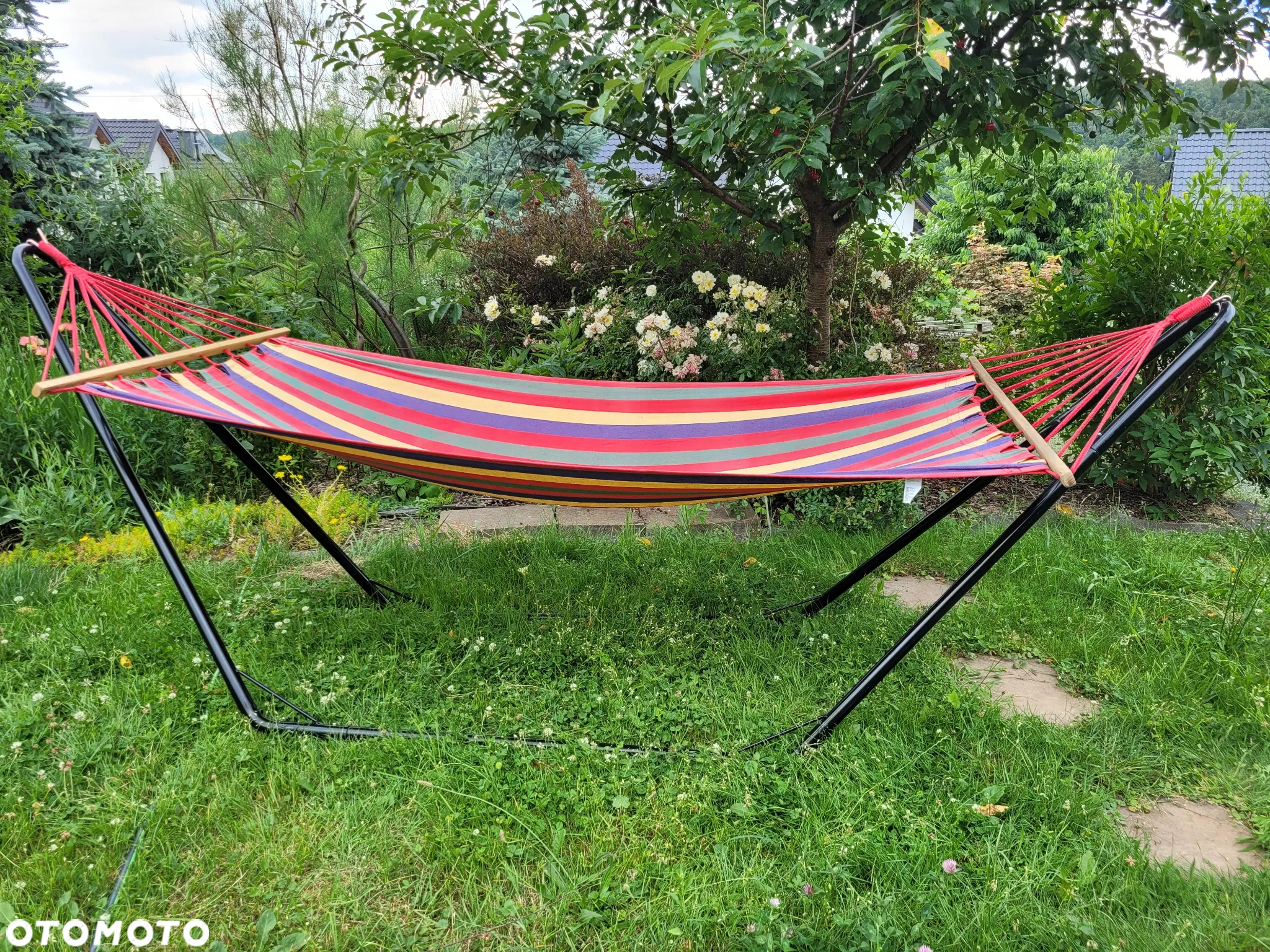 Spitzer Musketer - 30