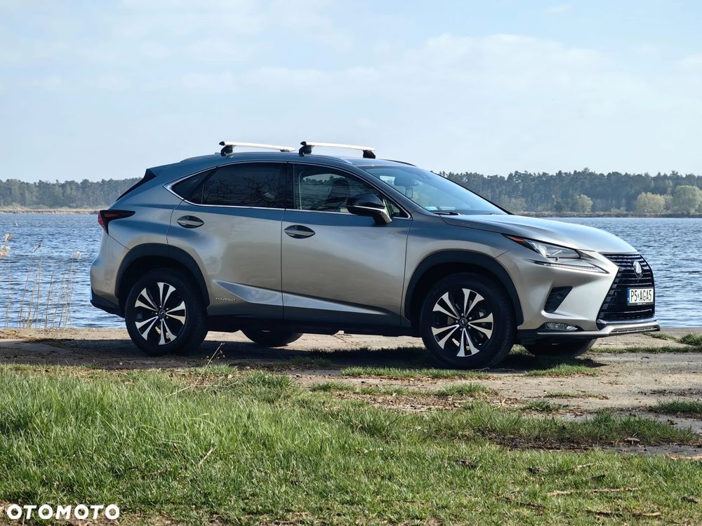 Lexus NX 300 Business Edition AWD - 2