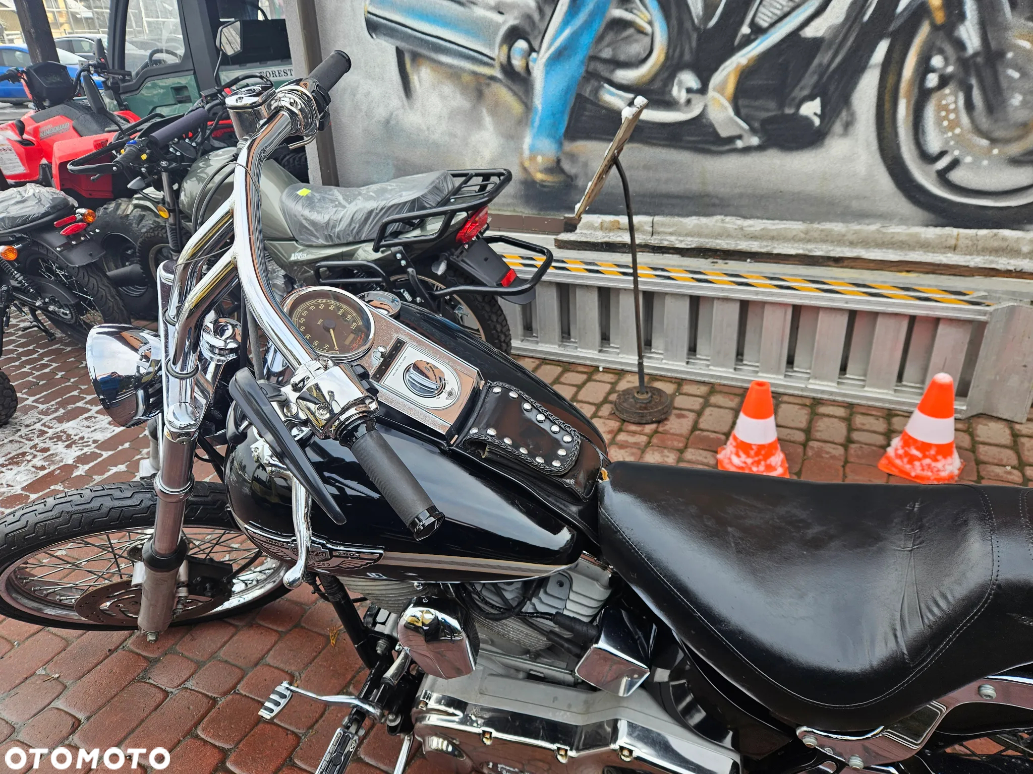 Harley-Davidson Softail Standard - 8