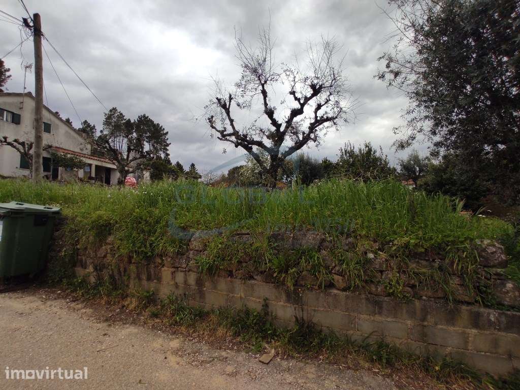 Terreno com 360 m² em Rosmaninhal - ideal para moradia de sonho em ... - Grande imagem: 4/4