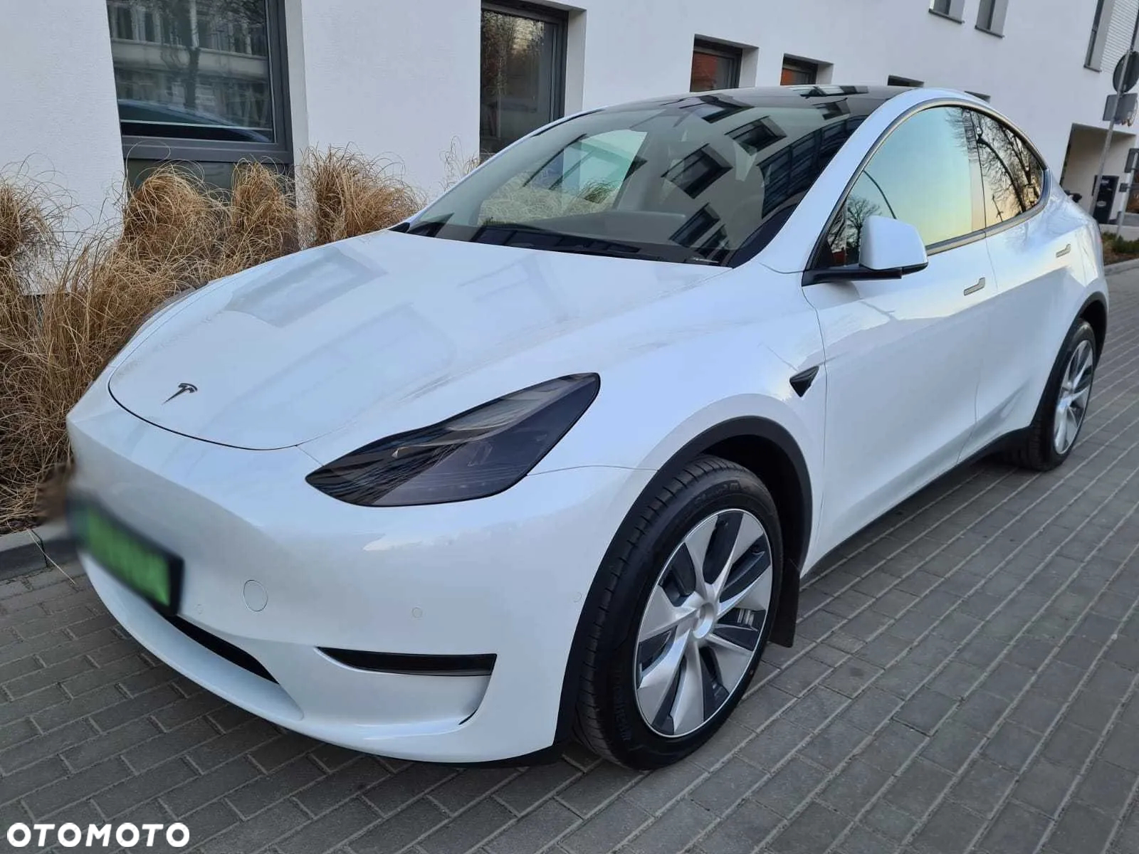 Tesla Y Long Range AWD - 2