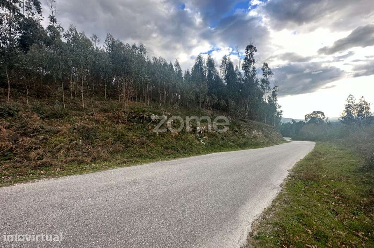 Terreno Rustico em Fonte Arcada e Oliveira 20.485m2 Povoa de Lanhoso - Grande imagem: 3/15
