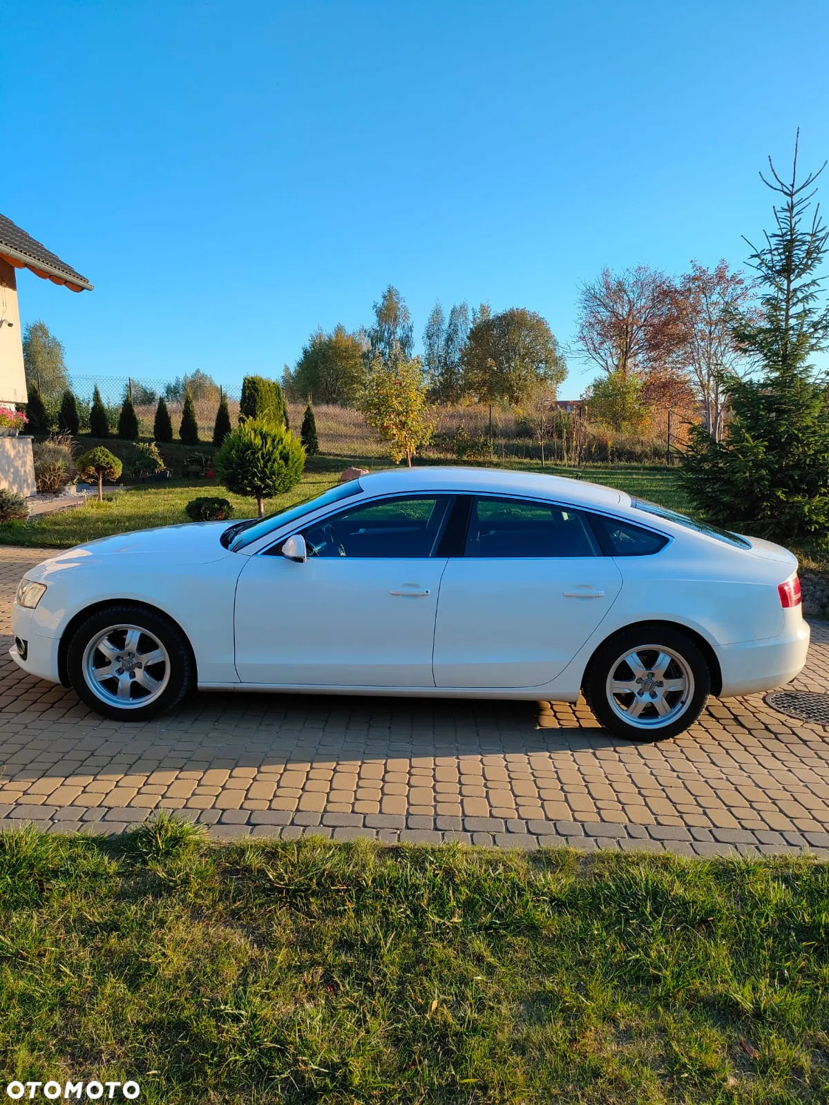 Audi A5 - 8