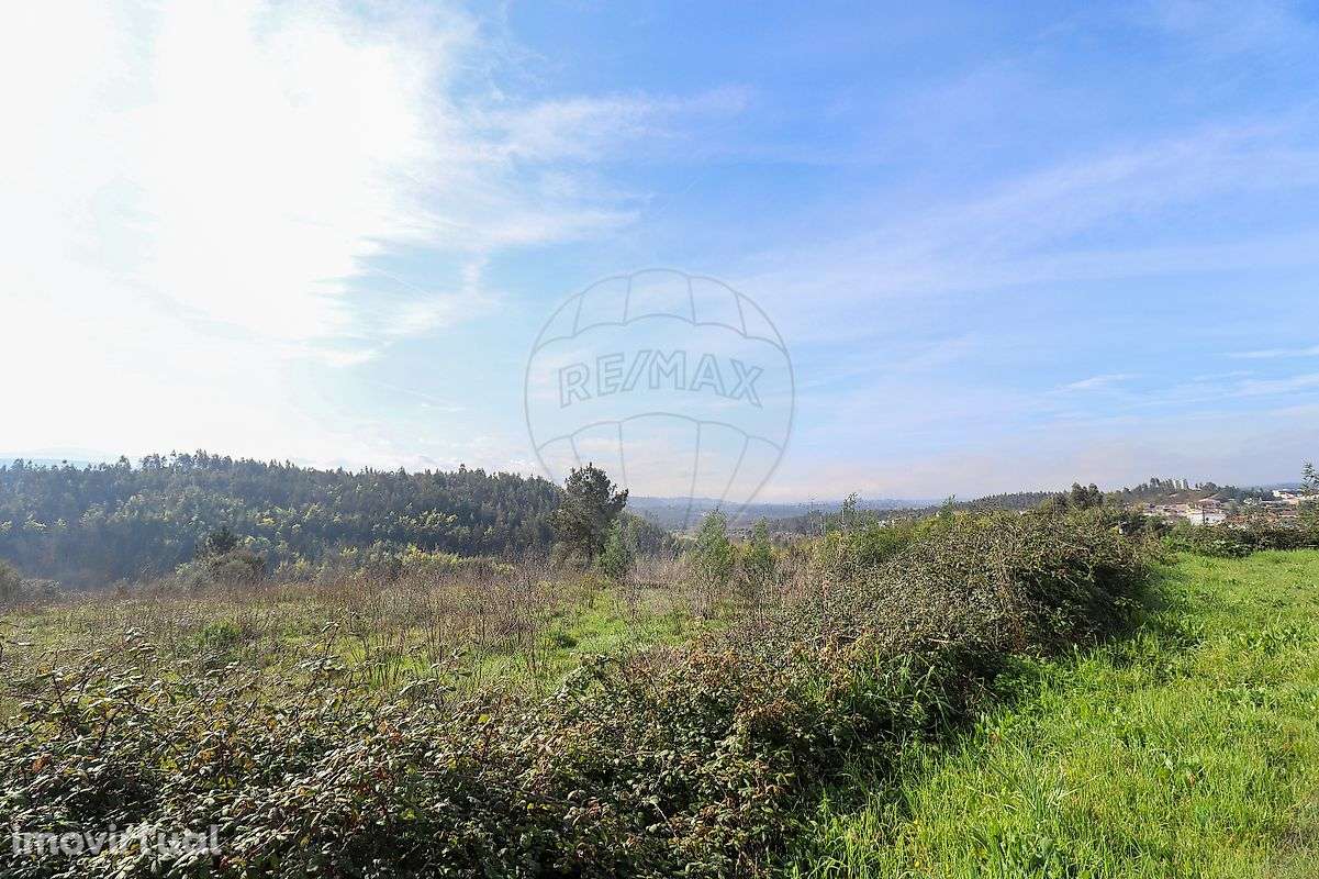 Terreno  para venda - Grande imagem: 5/6