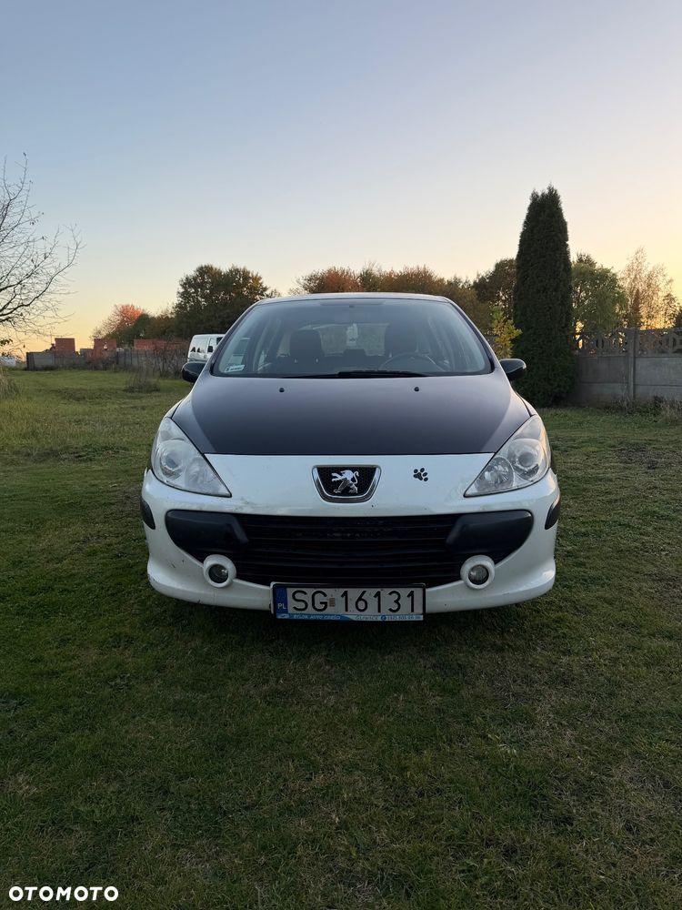 Peugeot 307 1.6 - 12
