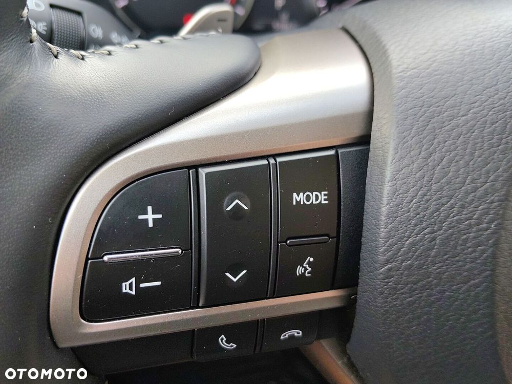 Lexus RX 300 Business Edition + - 30