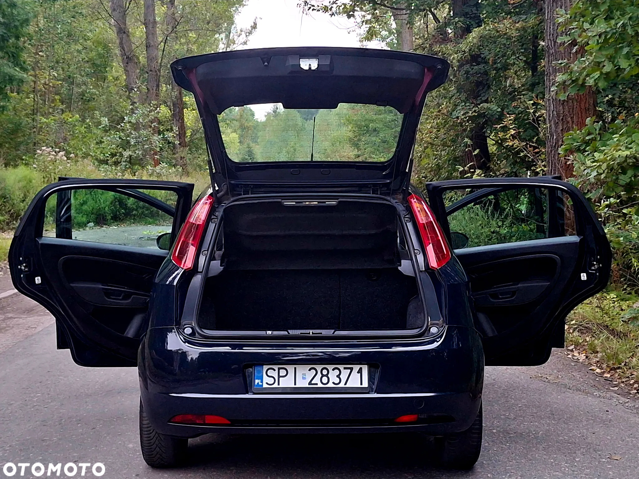 Fiat Grande Punto Actual 1.2 8V Estiva - 18