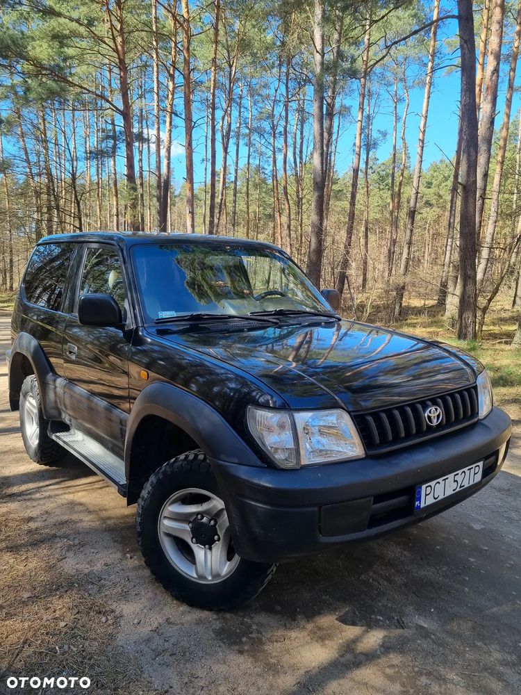 Toyota Land Cruiser - 31