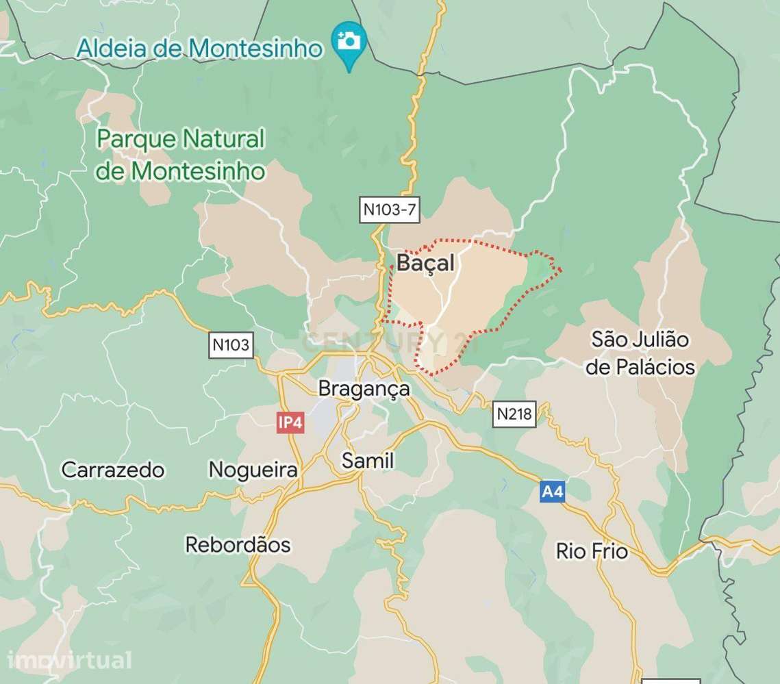 Terreno Rústico de 11.692 m²  – Oportunidade para Jovens Agricultores - Grande imagem: 4/8